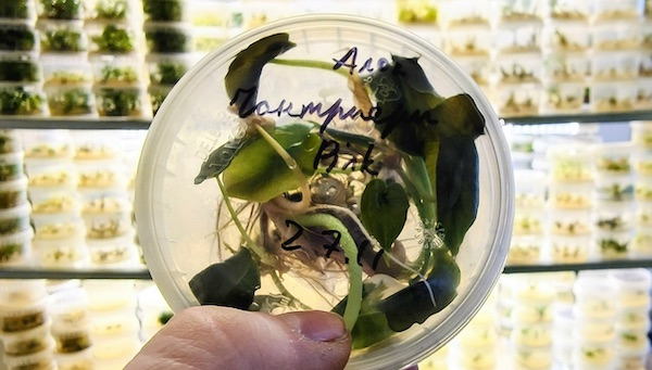 Фото из лабы