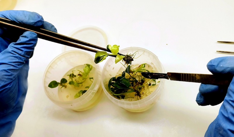 ожидание реальность