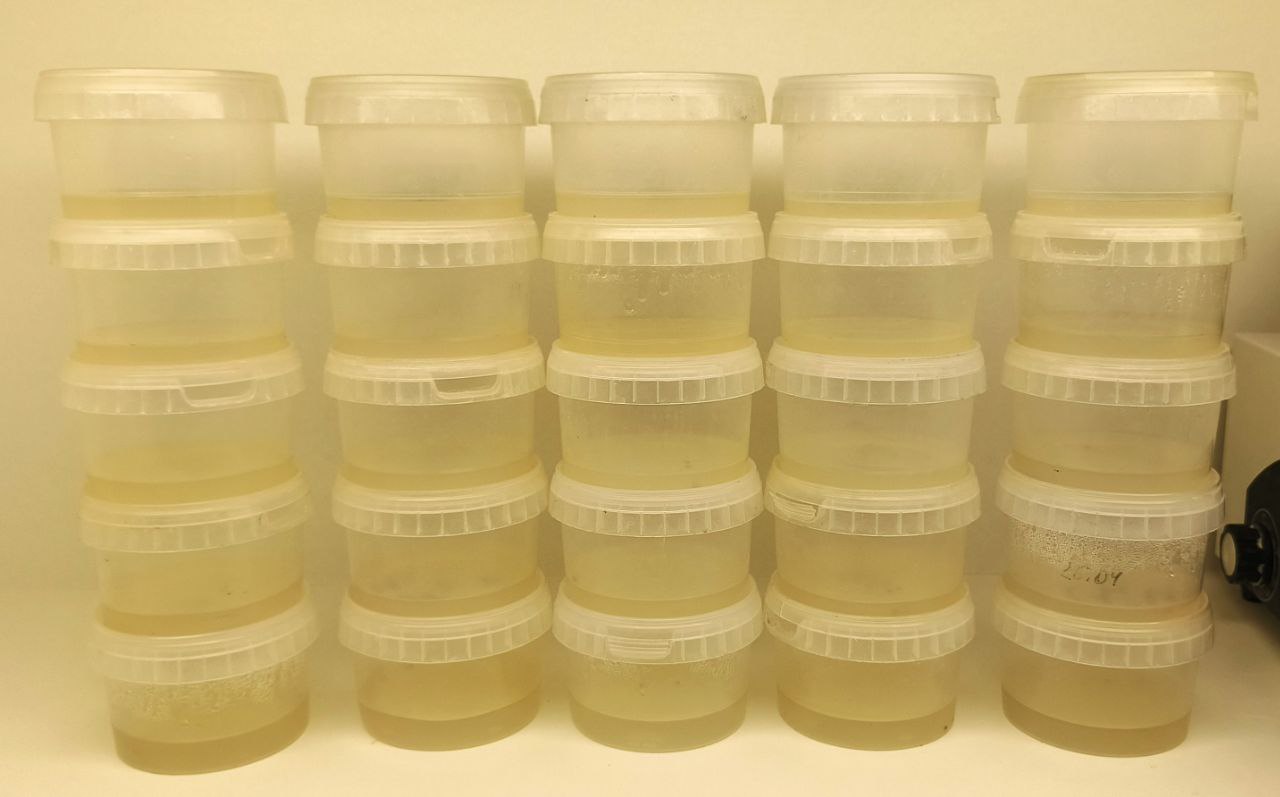 Готовая автоклавированная среда